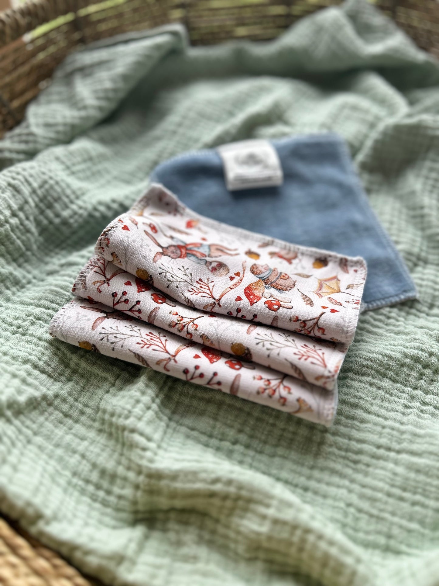 Reusable Cloth Wipes - Windy Day