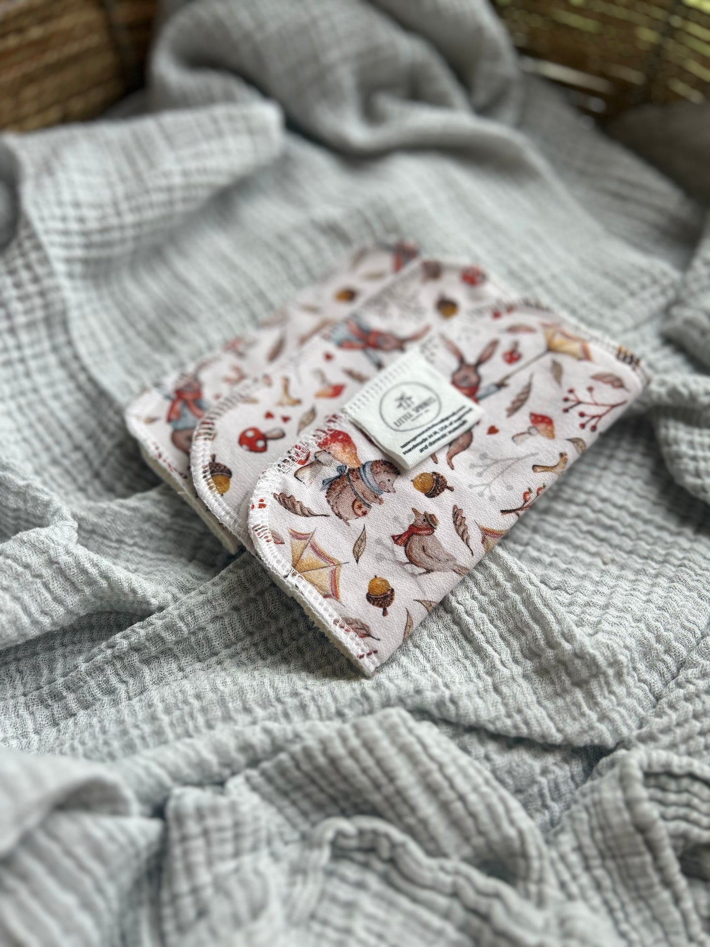 Reusable Cloth Wipes - Windy Day