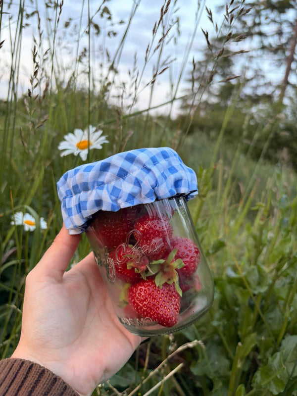 Mason Jar Cover